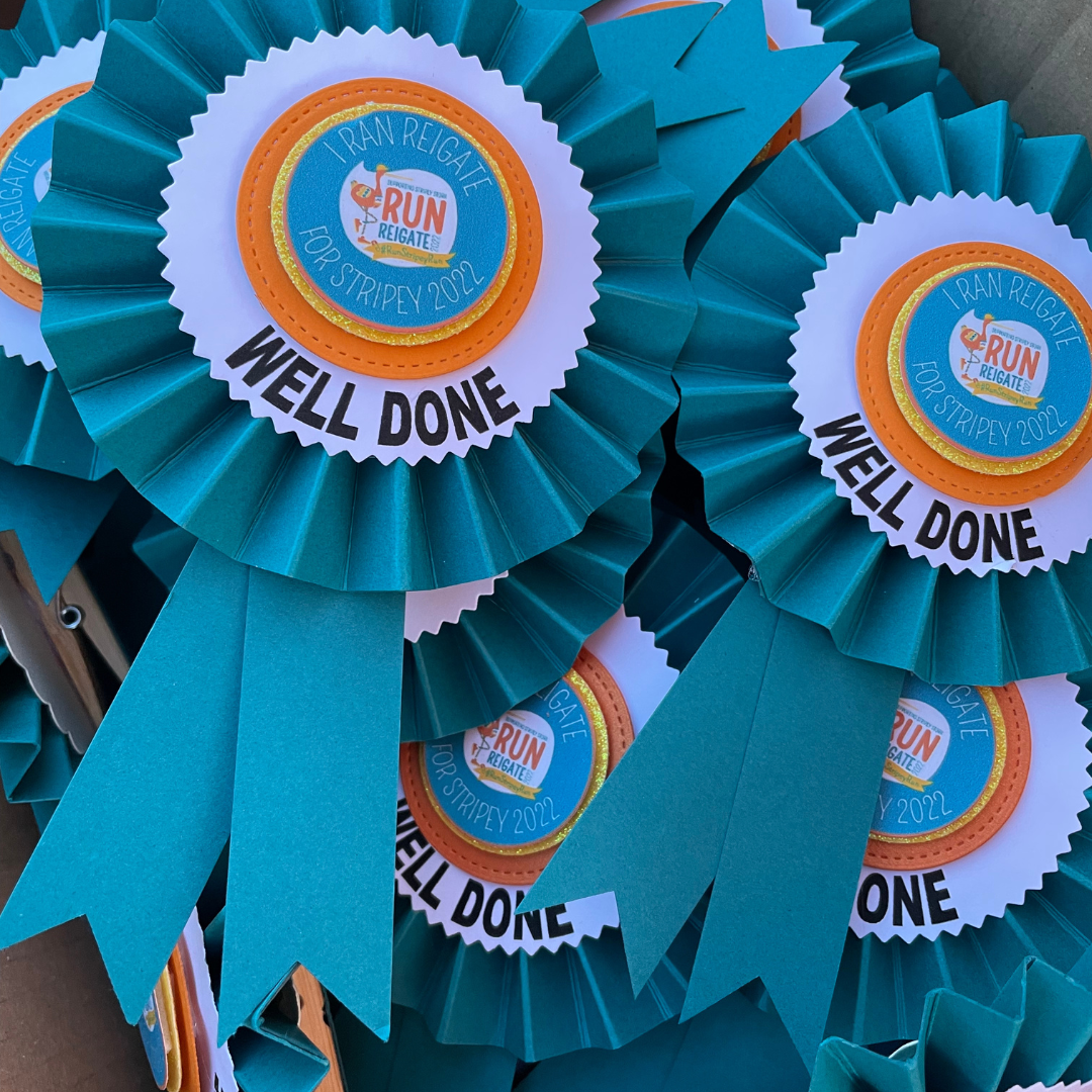 Rosettes Run Reigate 2022