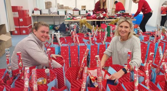 Looking back 2023 - santa stork (2)