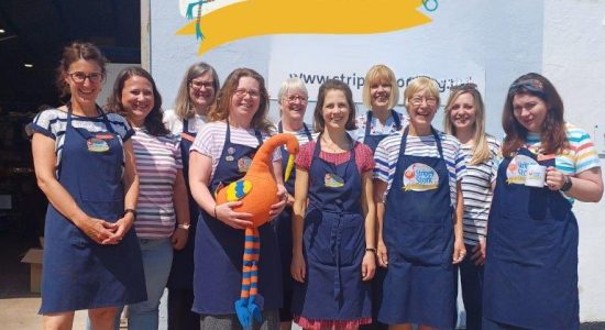 Stripes4Stripey 2025