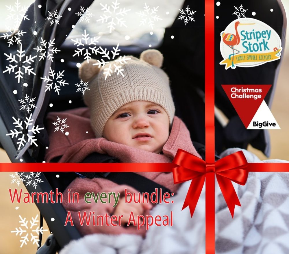 The Big Give 2025 - website